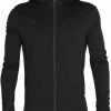 Icebreaker Quantum III LS Zip Hood Jacket Men, Geel