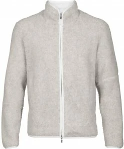 Icebreaker RealFleece Sherpa LS Zip Midlayer Men, Grijs