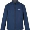Regatta Cera V Jacket Men, Groen